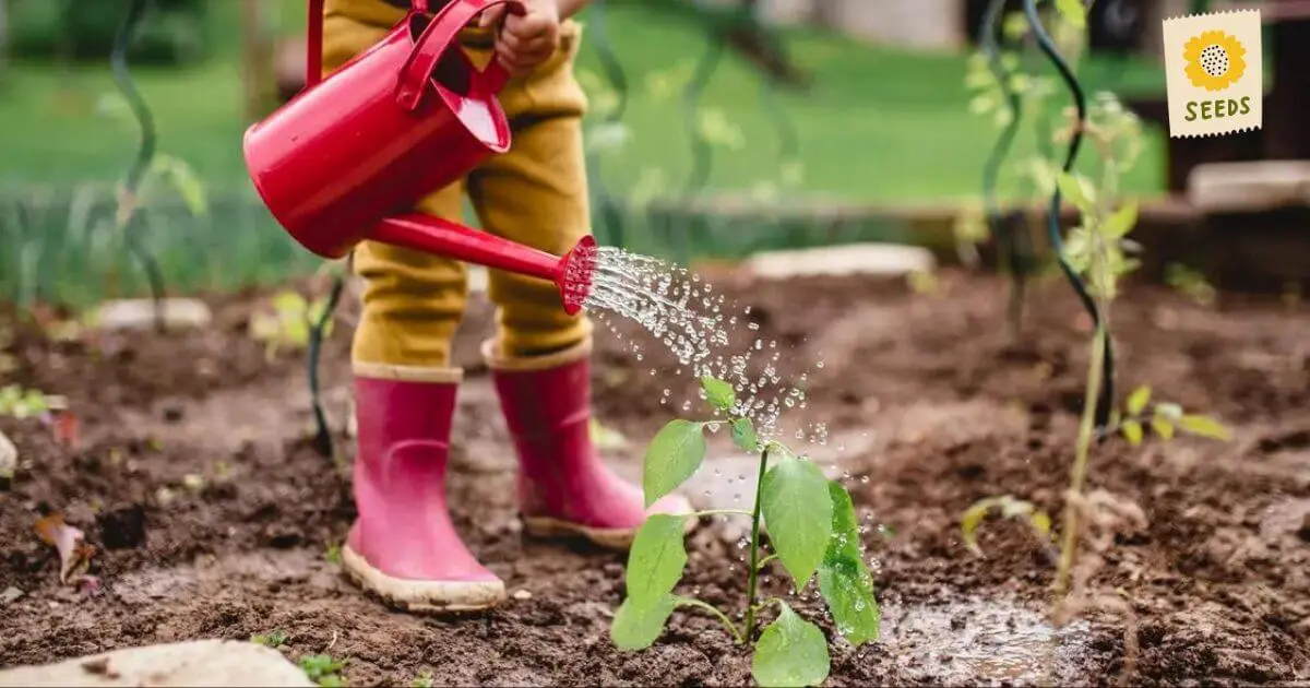 Gardening Tips for Beginners: A comprehensive Guide